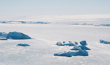 氷におおわれる南極大陸