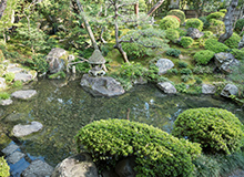石に囲まれた庭の池